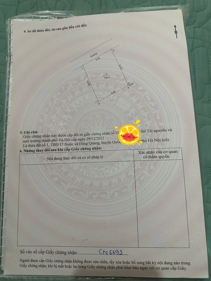 Đất nền chính chủ 120m² tại thôn Đồng Lư, huyện Quốc Oai - Nở hậu, giá thỏa thuận!