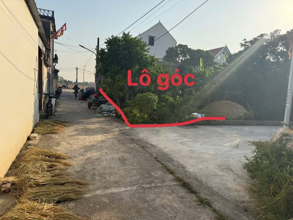 Đất nền góc Xóm 9 Xuân Thượng 125m² - Đường ô tô vào tận nơi!