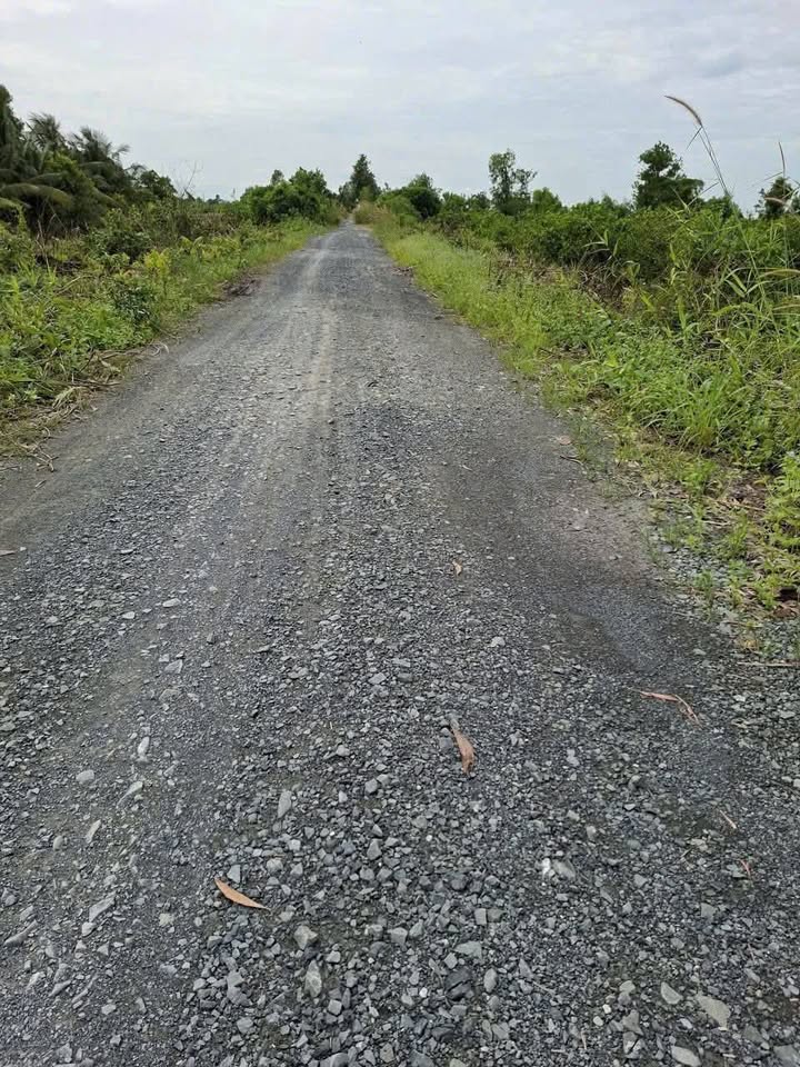 Đất vườn Tân Thành Thủ Thừa 1000m² giá 670 triệu - Mặt tiền kênh đá xanh 8m