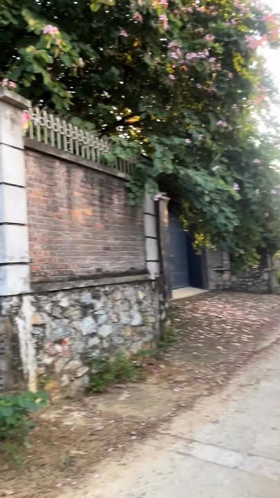 Đất thổ cư 1004m² xã Nhuận Trạch, Lương Sơn - Giá chỉ 5 tỷ đồng!