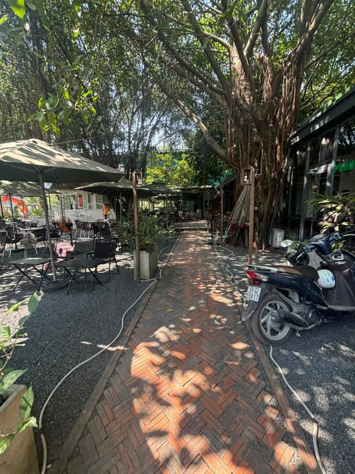 Cho thuê mặt tiền đường Vườn Lài, An Phú Đông, quận 12, diện tích 1500m² - Giá chỉ 65 triệu!