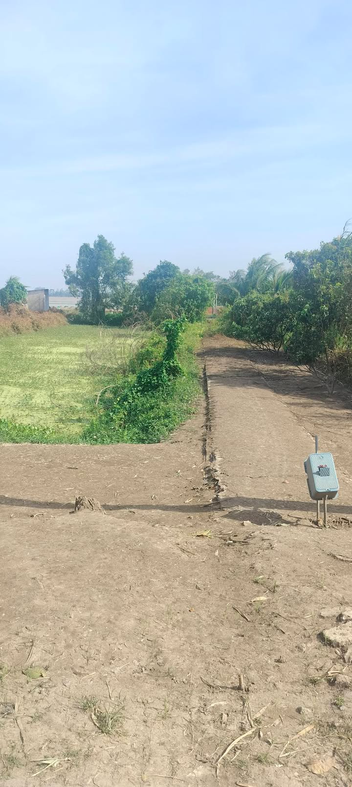 Đất nông nghiệp Vĩnh Nhuận, An Giang 14,400m² giá 650 triệu - Đầu tư sinh lời ngay!