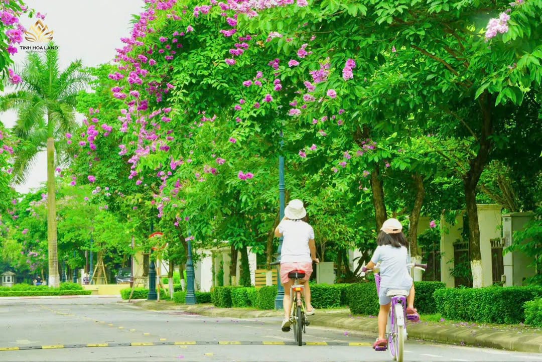 Nhà liền kề KĐT Splendora - An Khánh 129m² chỉ 23.226 tỷ - Cơ hội đầu tư lý tưởng!