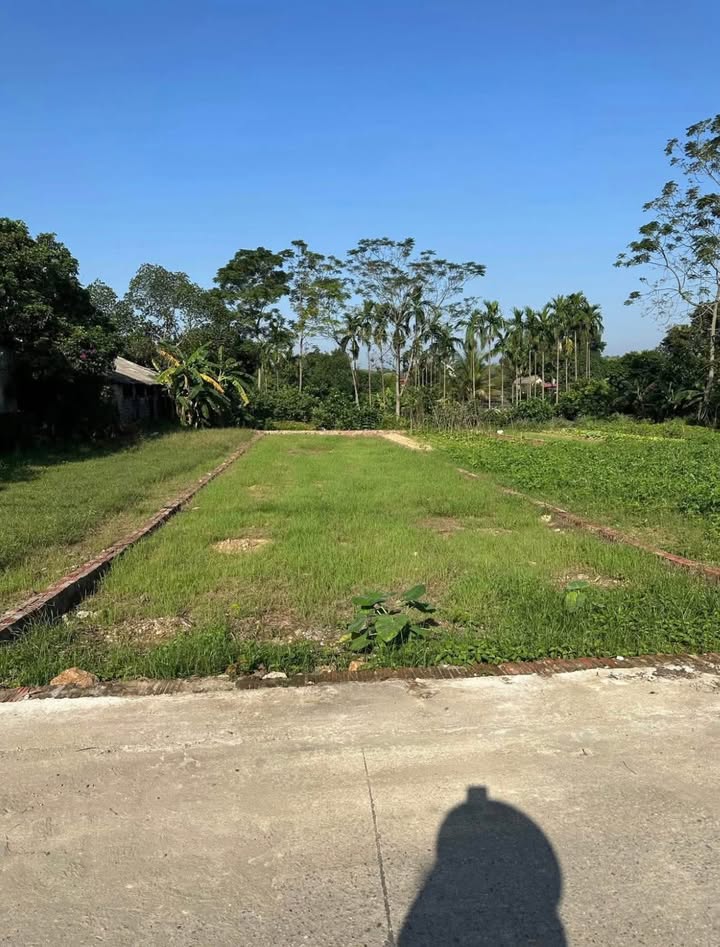 Đất nền Cẩm Lĩnh, Ba Vì 208m² giá chỉ 1.4 tỷ - Cần bán gấp!