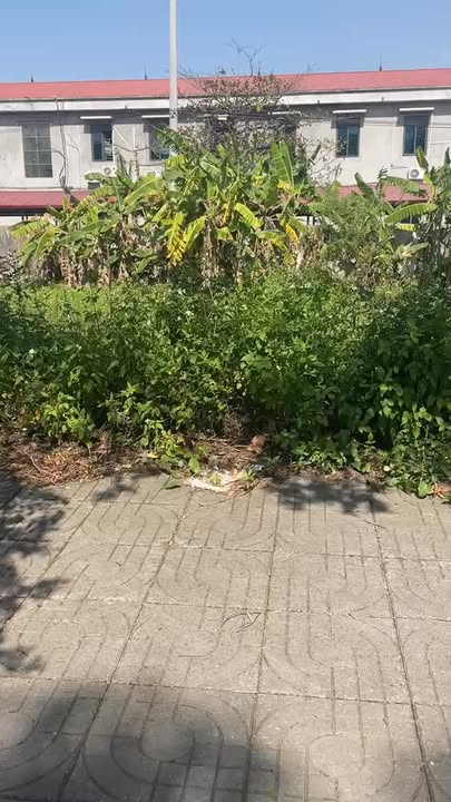 Đất nền Thị trấn Me, Gia Viễn 108m² - Cơ hội đầu tư tuyệt vời!