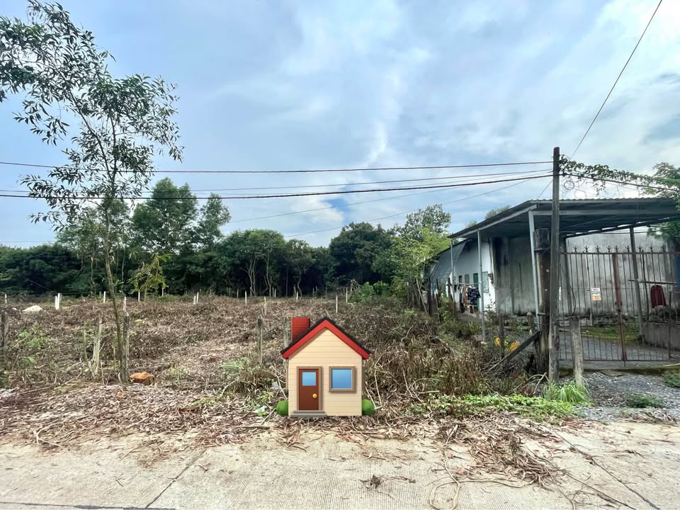 Đất nền mặt tiền Lê Thị Triệu, Tân An Hội, 170m² - Sổ hồng riêng, vị trí đắc địa!