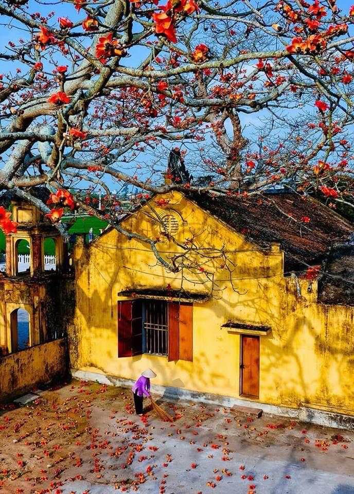 Bán đất ngõ 60 Lê Thái Tổ, Ninh Bình 94.6m² - Vị trí đắc địa gần phố cổ!