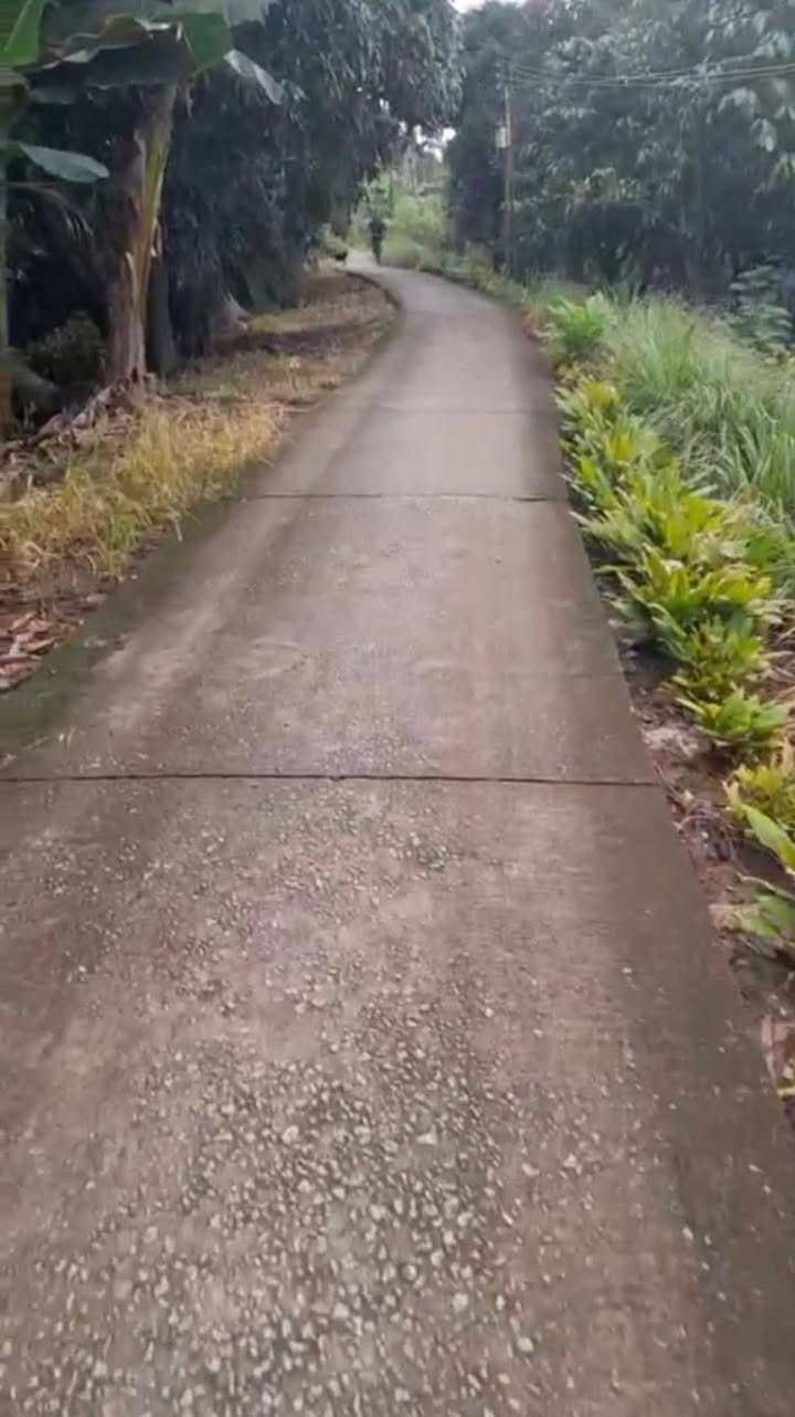 Đất vườn 10.000m² tại Ấp An Thành, Kế Sách giá chỉ 260 triệu - Sổ hồng riêng, pháp lý rõ ràng!