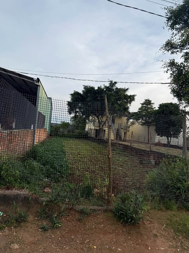 Đất mặt tiền Dã Tượng, phường Thắng Lợi, 150m² giá 1.25 tỷ - Cơ hội đầu tư tuyệt vời!