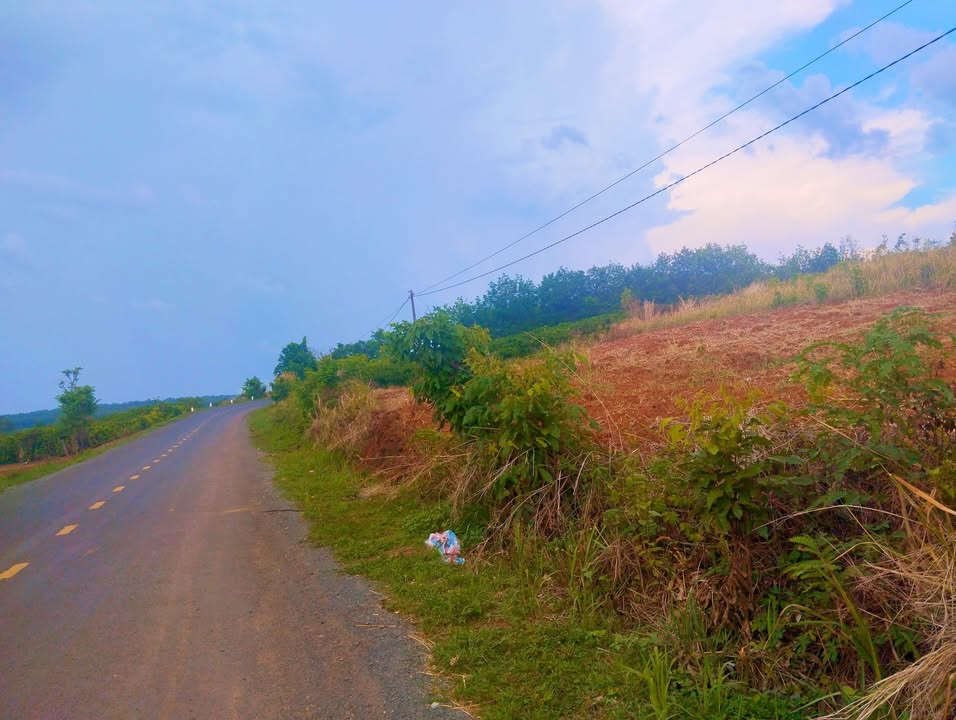 Đất nền mặt tiền tỉnh lộ 663, xã Ia Boòng, 1 hecta - Đầu tư sinh lời cao!