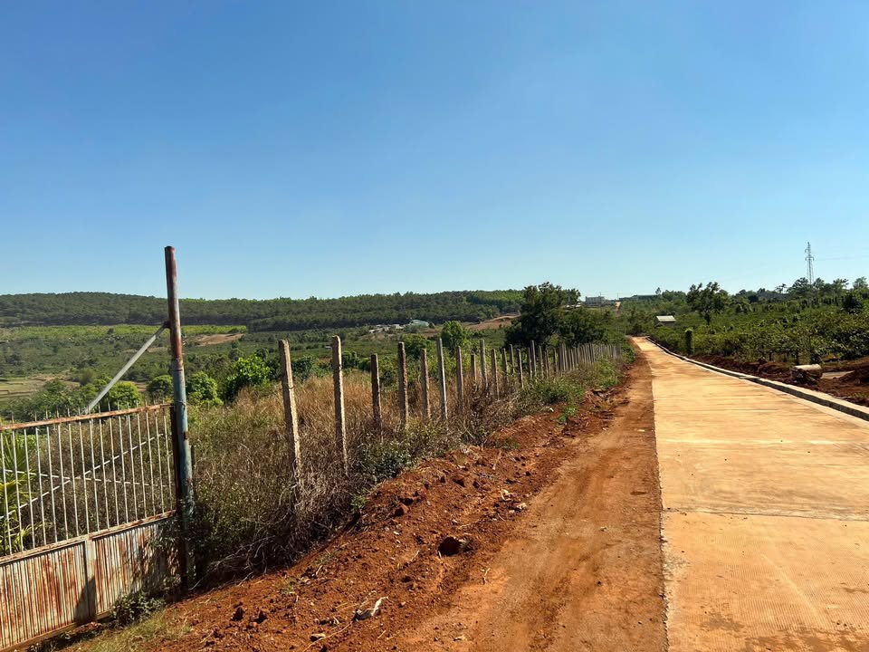 Bán gấp rẫy cà phê thôn 3, xã Diên Phú, giá chỉ 20.349 tỷ - Đầu tư sinh lời!