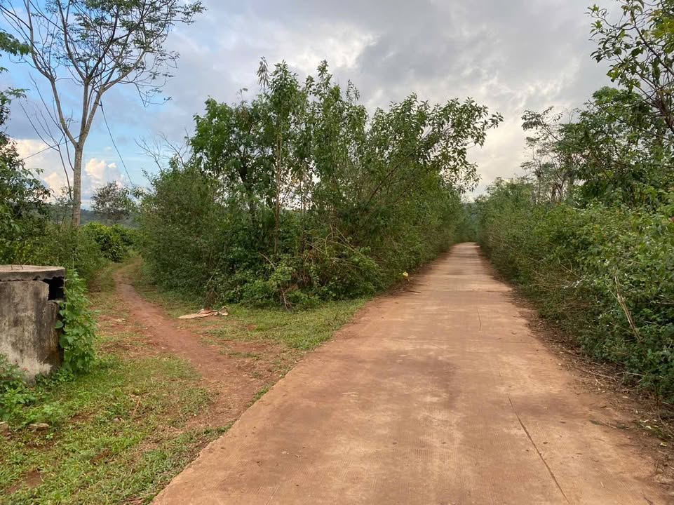 Đất nền xã Gào, TP Pleiku 1ha giá 3.24 tỷ - Đầu tư sinh lời ổn định!