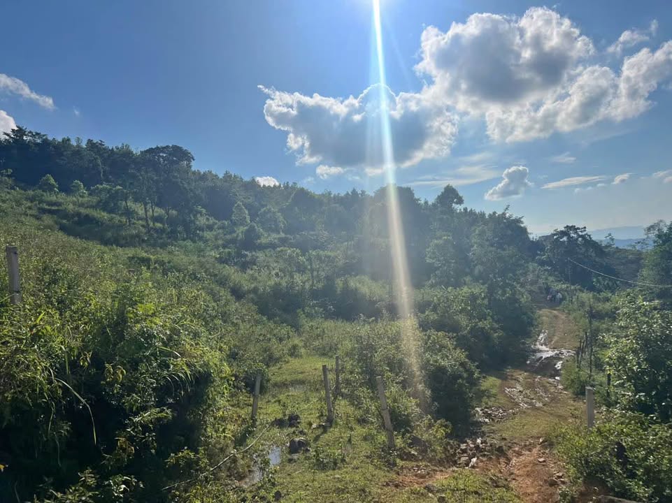 Lô đất rừng sản xuất tại xã Thạch Yên, huyện Cao Phong, 17ha - Giá đầu tư hấp dẫn!