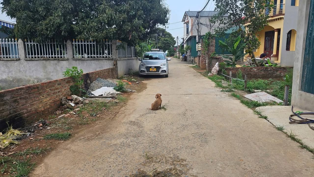 Đất thổ cư 143m² tại Phú Cát, Quốc Oai chỉ 3.003 tỷ - Cơ hội đầu tư tuyệt vời!