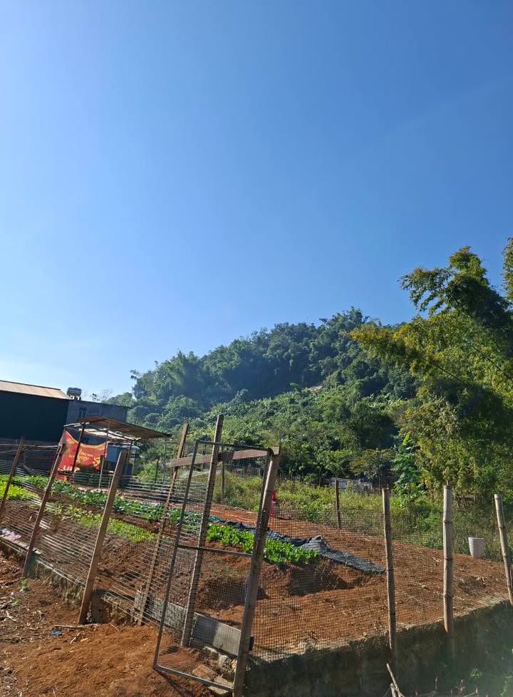 Đất vườn Tô Hiệu 300m² giá 350 triệu - Cơ hội đầu tư tuyệt vời!