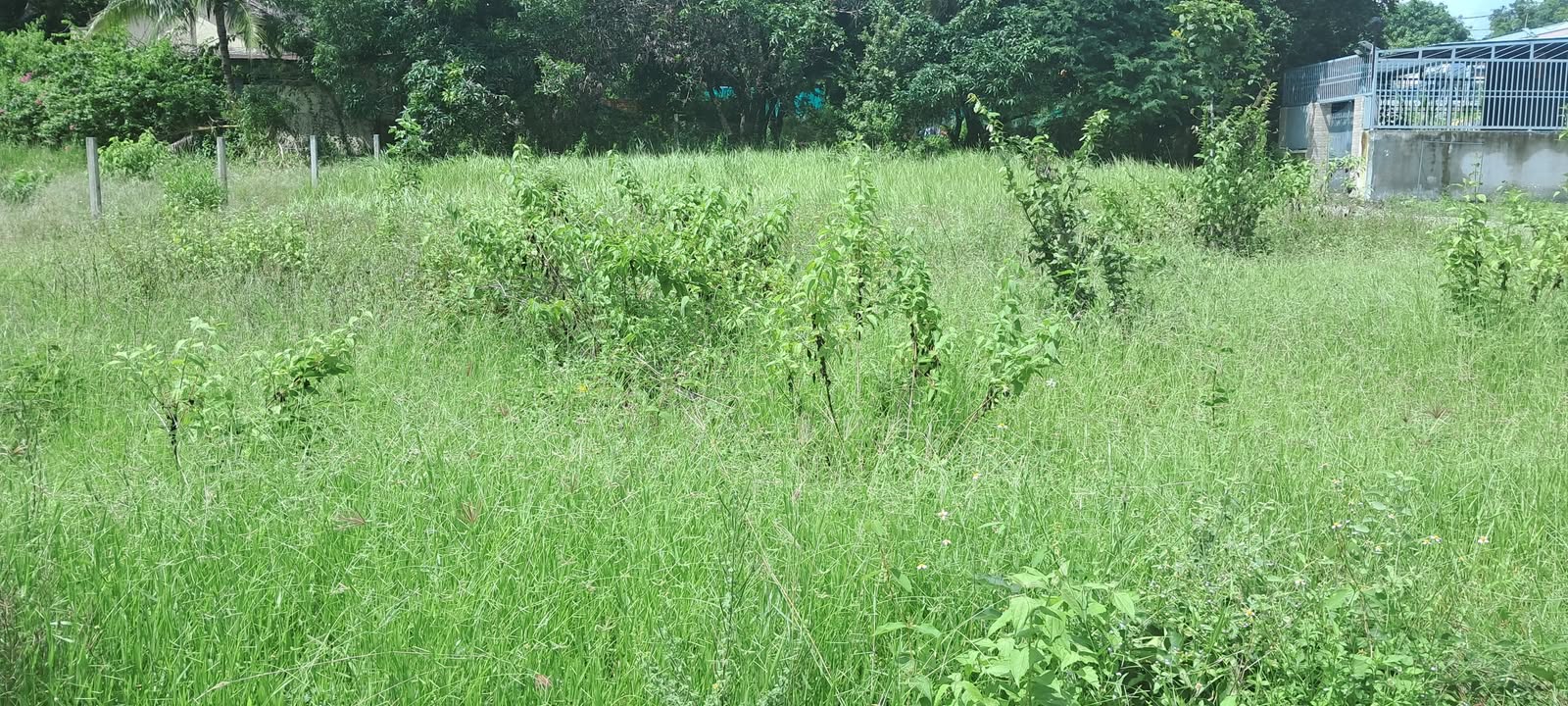 Đất nền Phước Đồng Nha Trang 299.8m² giá 3.55 tỷ - Đầu tư sinh lời ngay!