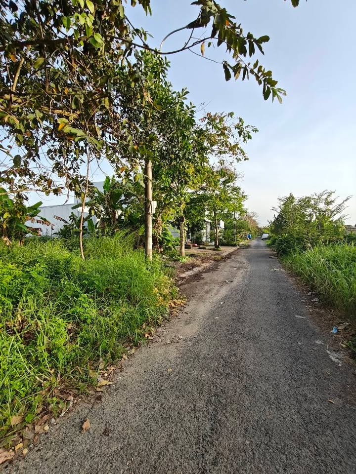 Đất nền mặt tiền Phạm Văn Bạch, Tân Xuyên 99m² giá chỉ 860 triệu - Cơ hội đầu tư tuyệt vời!