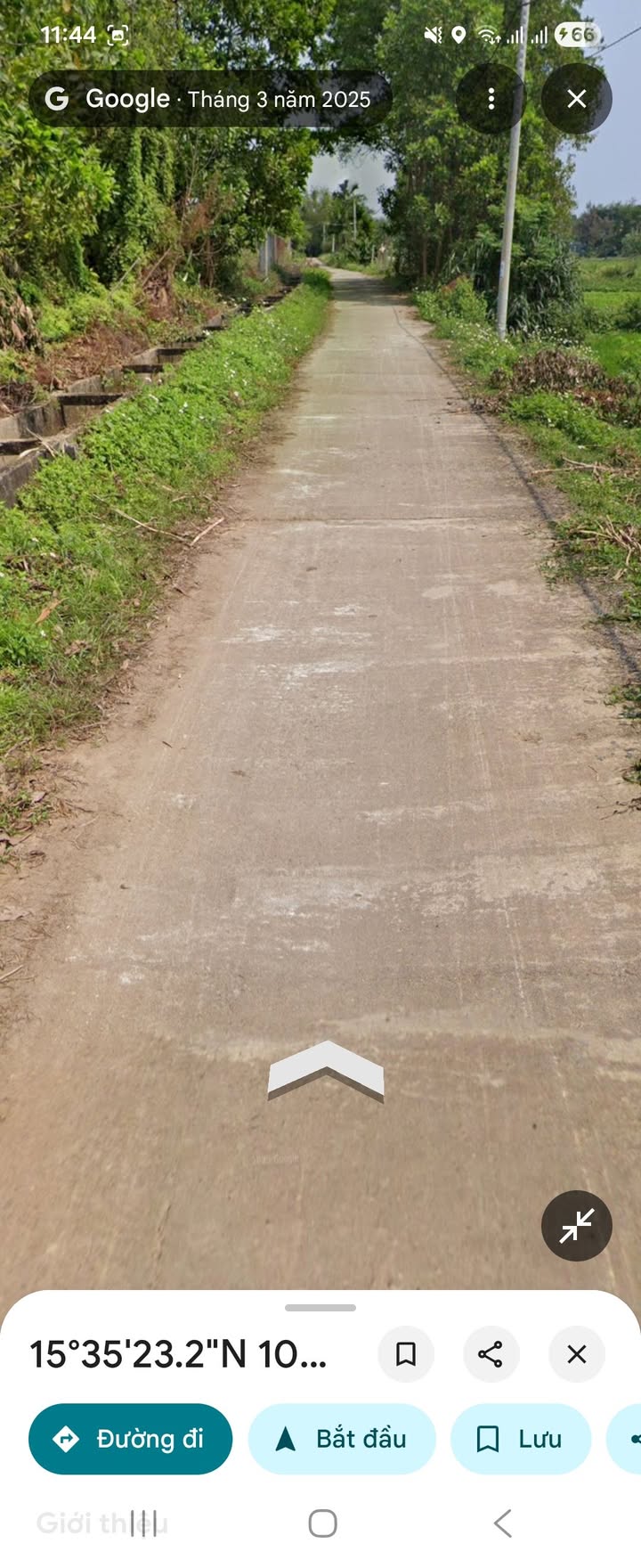 Đất trồng cây Tam Phú 250m² giá 1xx triệu - Đầu tư sinh lời tuyệt vời!