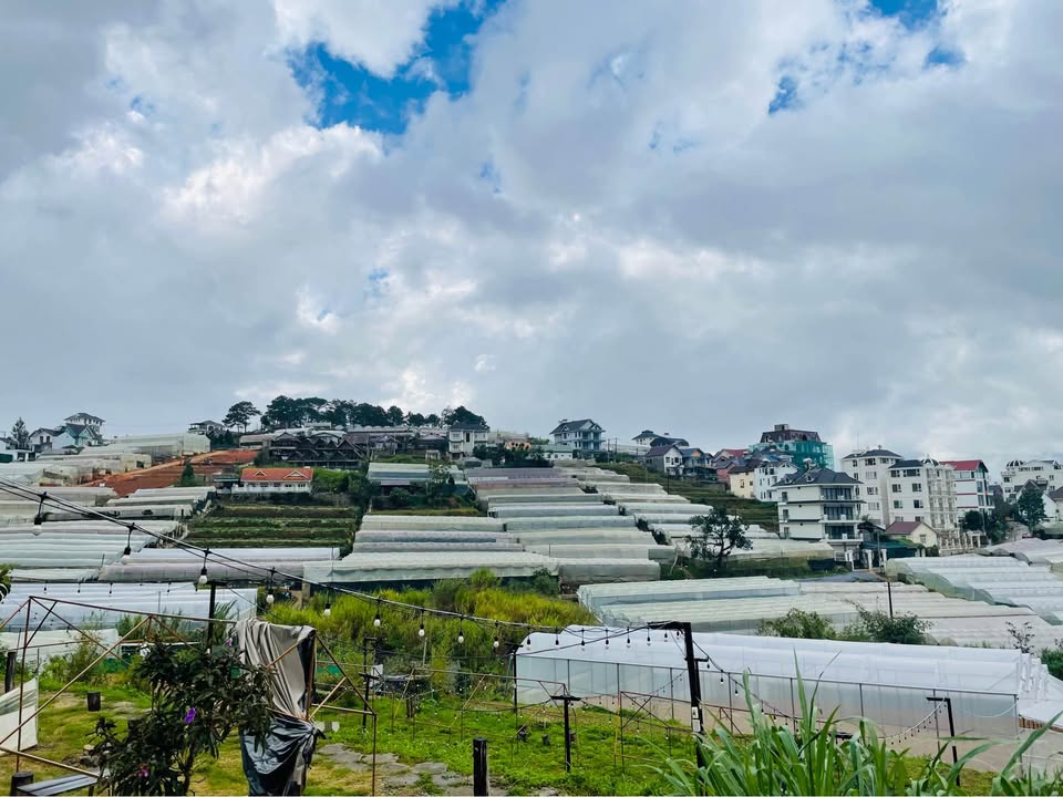 Bán đất 3000m² tại Sào Nam, Đà Lạt - Giá 23 tỷ, View thung lũng tuyệt đẹp!