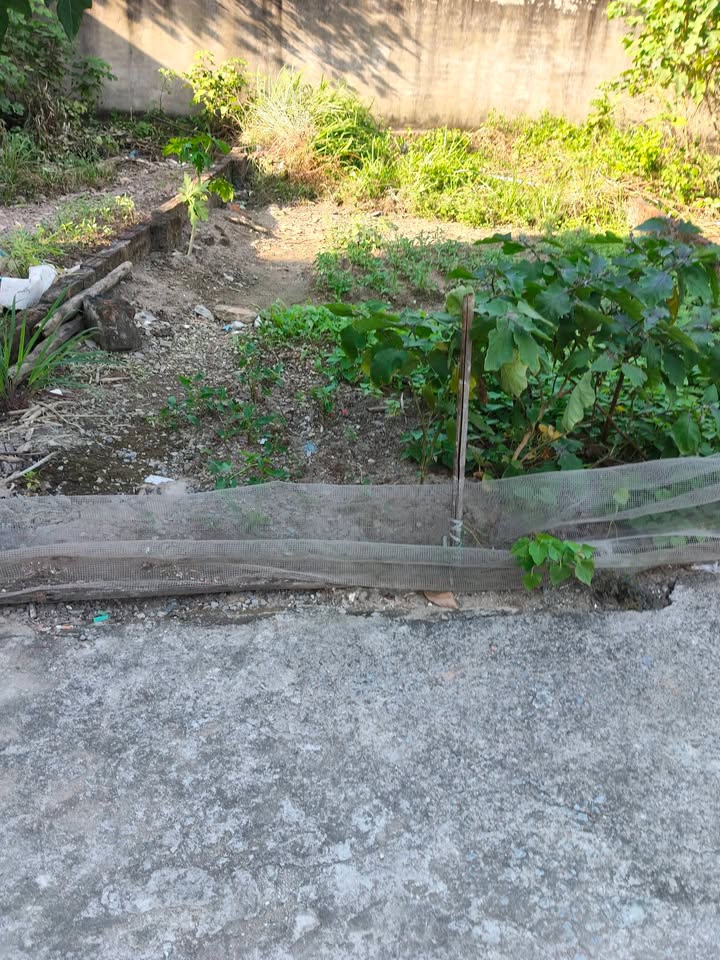 Đất nền Đại Áng 42.5m² giá 4.35 tỷ - Đầu tư an toàn, gần ô tô!