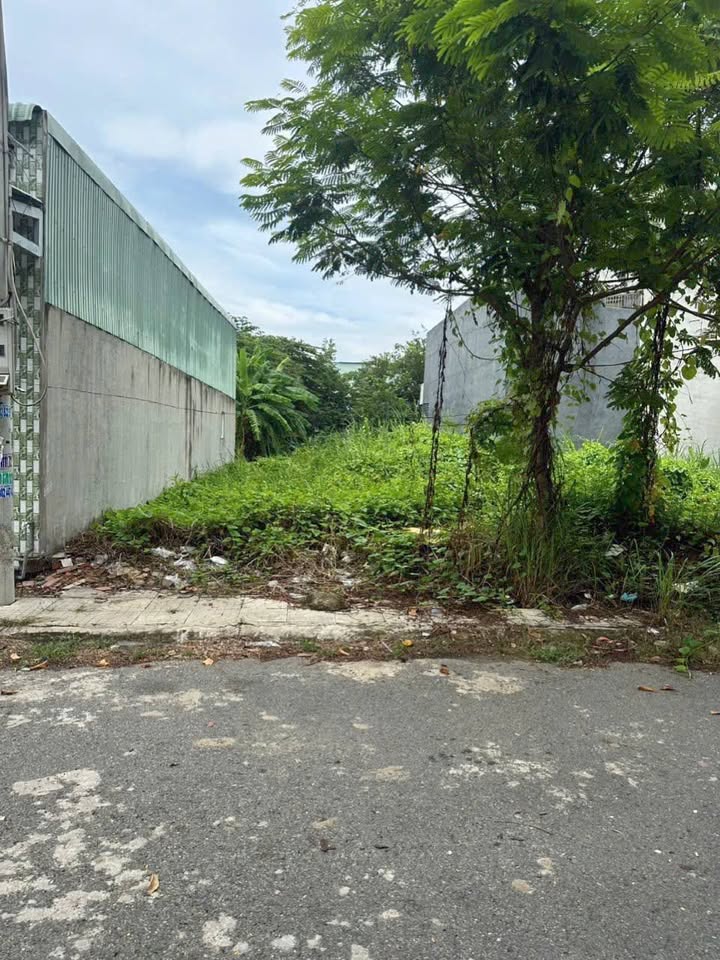 Đất nền Mỹ Hạnh Nam, Đức Hòa, 90m² giá 2.7 tỷ - Sổ hồng riêng, gần chợ Xuyên Á