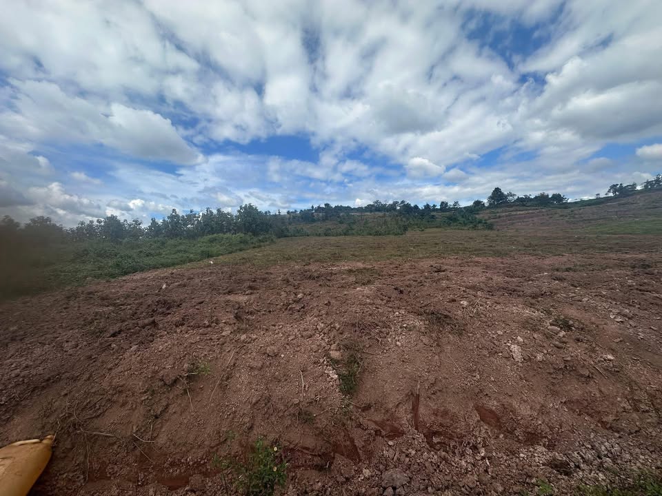 Đất nền 1ha tại Quảng Hiệp, Cư M'gar, Đắk Lắk chỉ 2 tỷ - Cơ hội đầu tư hấp dẫn!