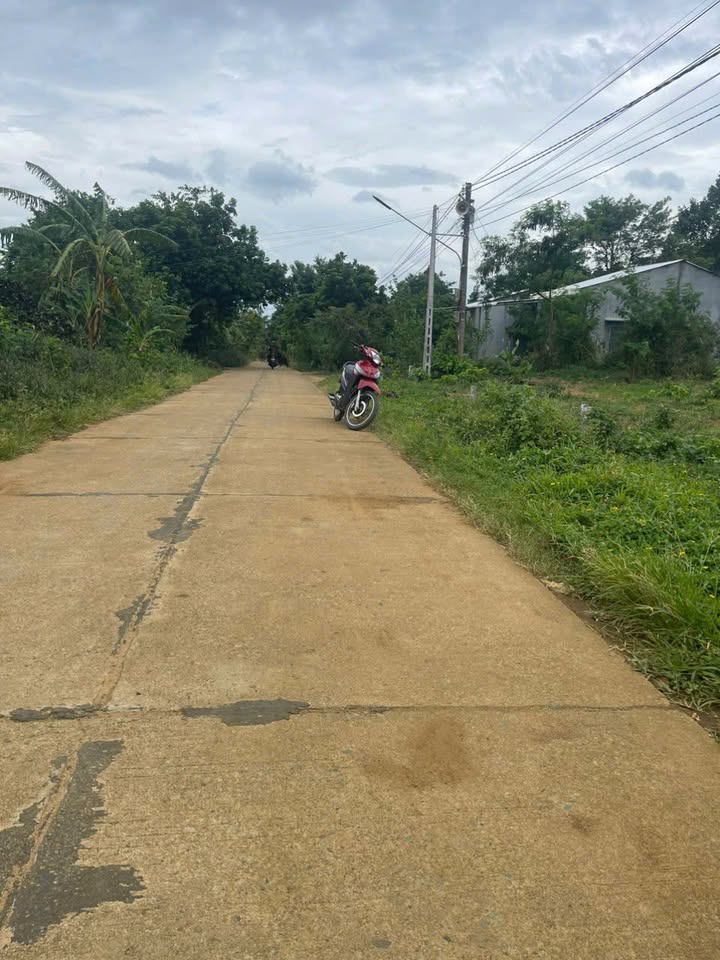 Đất nền Đức Bình, Krông Năng 228m² chỉ 200 triệu - Cơ hội đầu tư hấp dẫn!