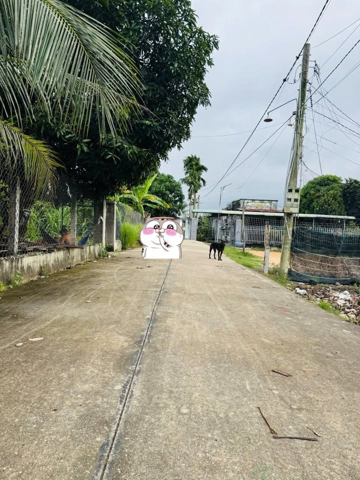 Đất nền Khu phố 3, Thị trấn Châu Thành, 27m² giá 320 triệu - Đường thông thoáng, sẵn sàng đầu tư!