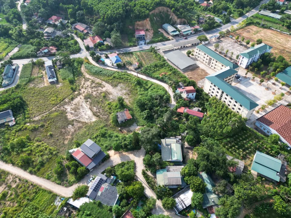 Đất nền Hạ Hoà 100m² giá 600 triệu - Sổ hồng chính chủ, vị trí đẹp!