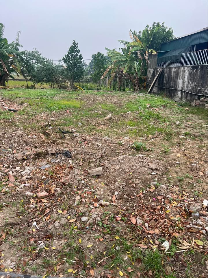 Đất thổ cư 110m² tại thôn Sơn Đồng, Quỳnh Giao - Giá tốt cho công nhân