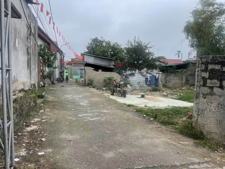 Đất nền Thôn Mộc Tòng, Thanh Nguyên, 66m² giá chỉ 1 tỷ - Sổ hồng chính chủ!