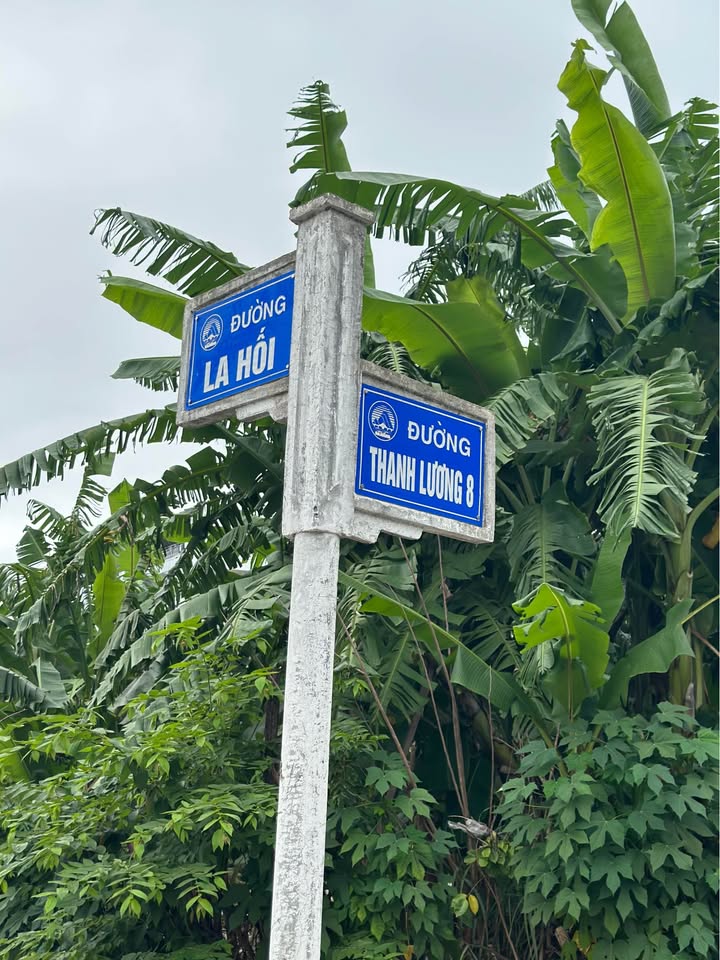 Đất nền đường Thanh Lương 8, Hòa Xuân, Đà Nẵng 100m² - Giá chỉ 6.1 tỷ, thương lượng nhẹ!