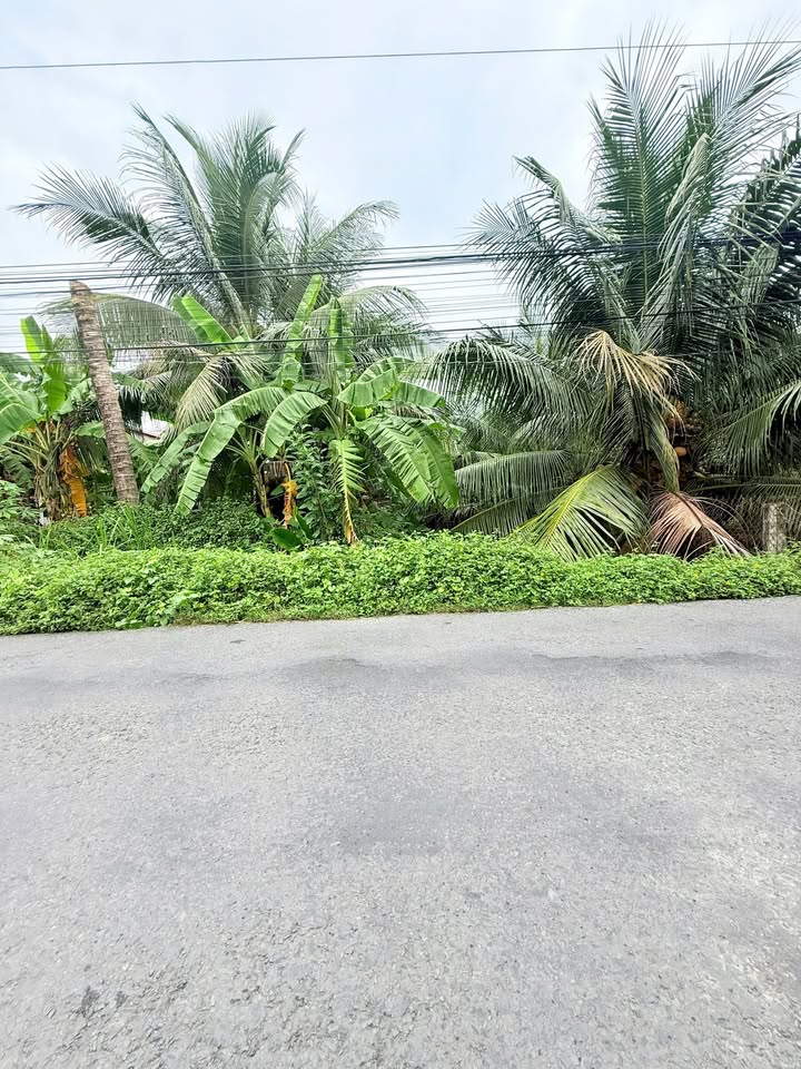 Lô đất mặt tiền nhựa Phú Kiết, Chợ Gạo, Tiền Giang 200m² giá 950 triệu - Sở hữu ngay trong tầm tay!