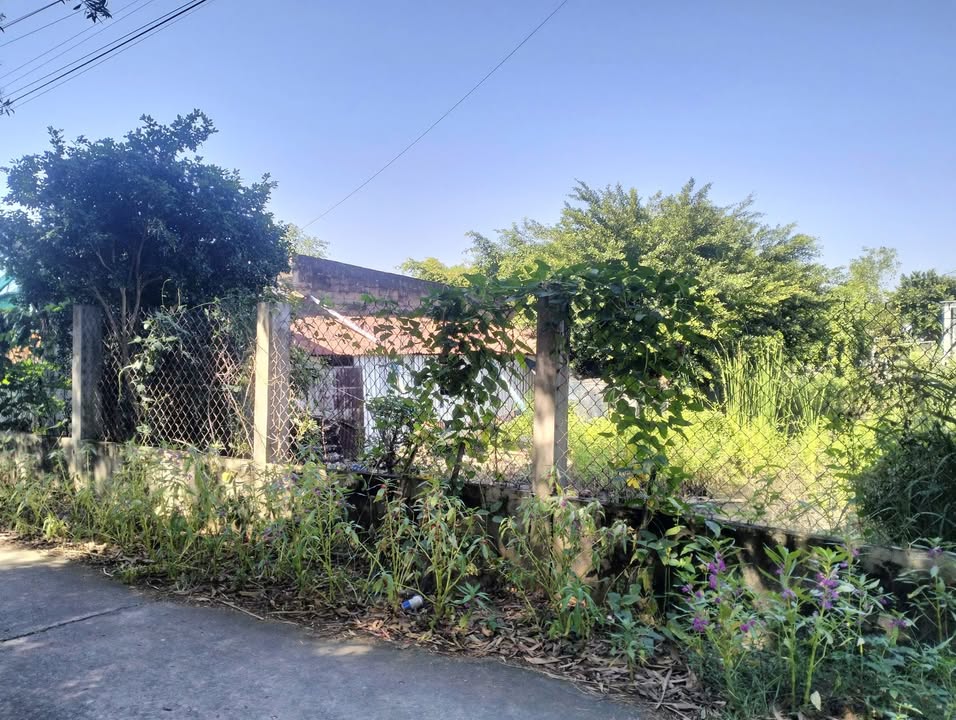 Bán đất nông nghiệp 5760m² tại Đại Hòa Lộc, Bến Tre - Giá chỉ 9.9 tỷ!