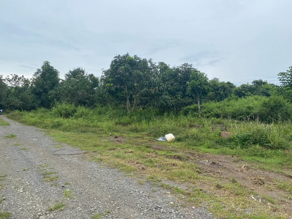 Đất Farm tại Ngọc Định, Định Quán 9300m² giá 2.2 tỷ - Đường xe hơi thuận tiện!