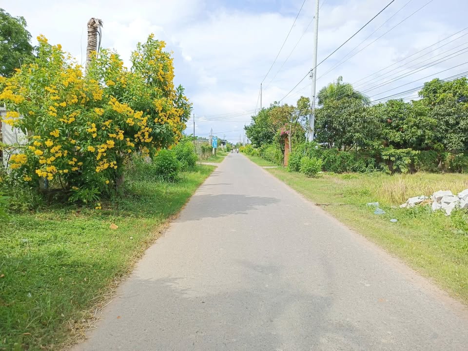 Đất thổ cư mặt tiền Nhựa Hàm Liêm 266m² giá 1 tỷ - Sổ hồng chính chủ