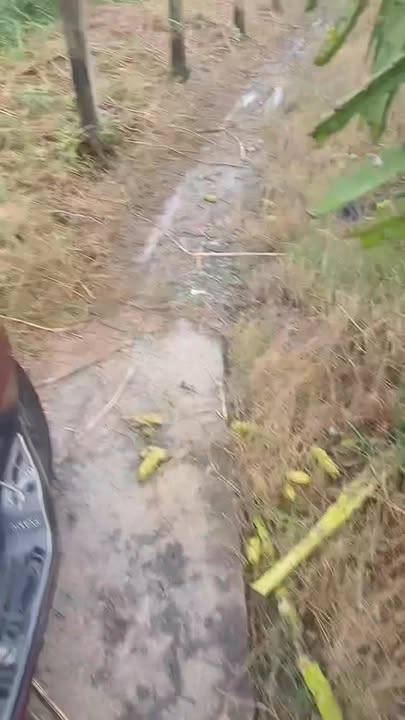 Đất nền 1200m² tại Bình Trị 1, Châu Thành, Long An giá chỉ 750 triệu - Cơ hội đầu tư tuyệt vời!