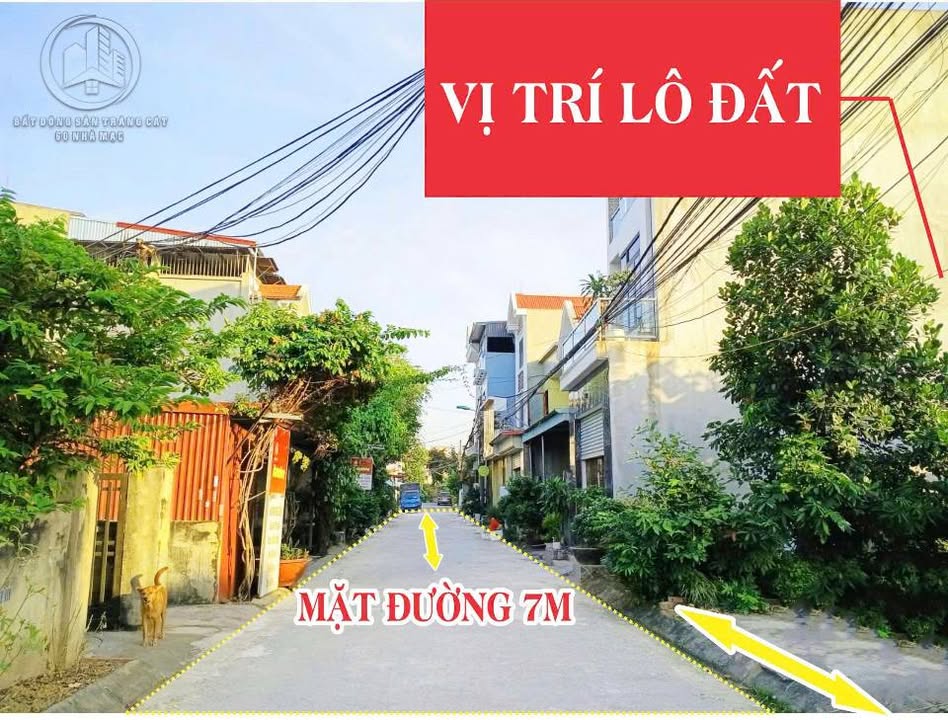 Đất góc đường Thành Tô, Tràng Cát 60m² giá 2.52 tỷ - Đầu tư sinh lời cao!