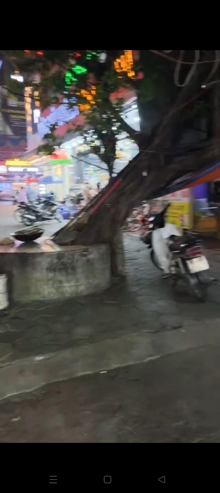 Nhà phố 262 Trần Nguyên Hãn, Hải Phòng 42m² giá từ 3.6 tỷ - Đầu tư sinh lời cao!