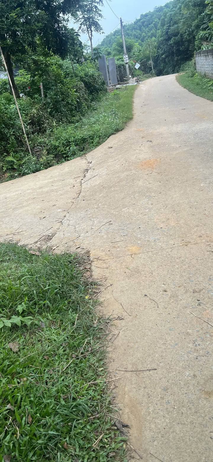 Đất nền xã Lam Vỹ, Định Hóa, 600m² giá 650 triệu - Đầu tư sinh lời hấp dẫn!