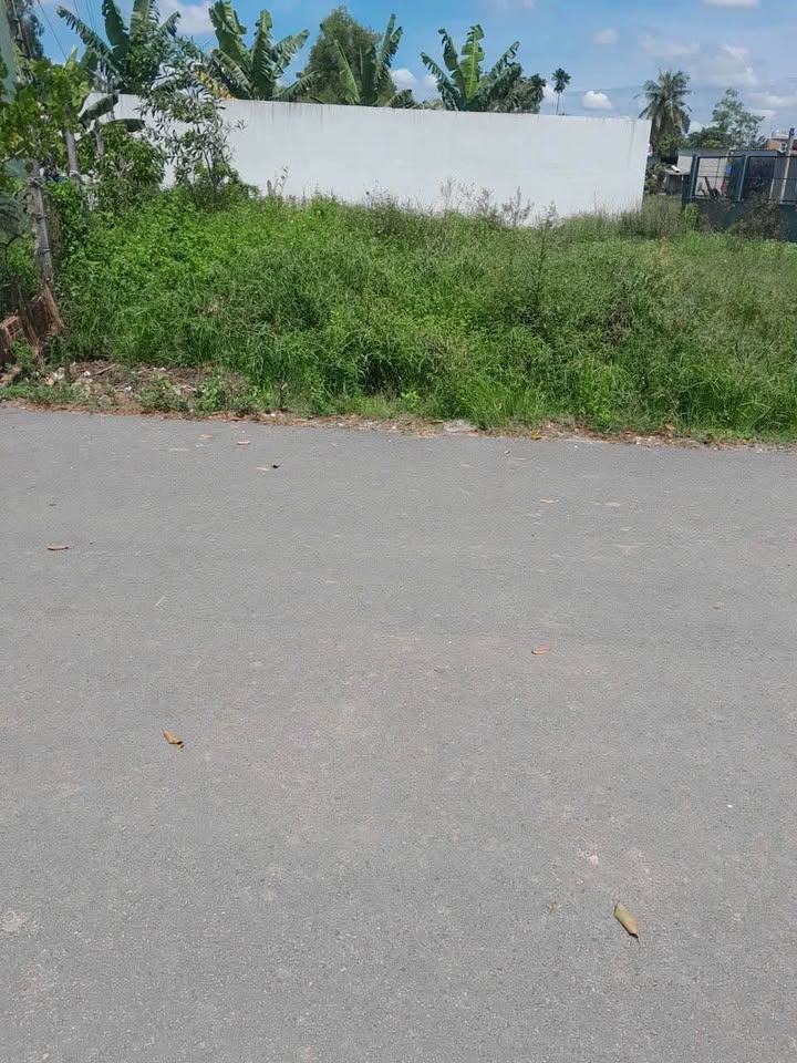 Đất nền Tân Phú Trung 108m² giá 1.6 tỷ - Mặt tiền đường nhựa tiện lợi!