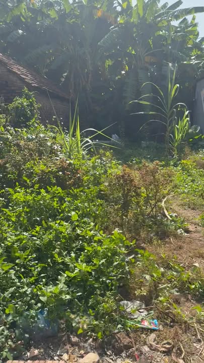 Nhà riêng Thọ An Đan Phượng 69m² giá 3 tỷ - Sổ đỏ chính chủ