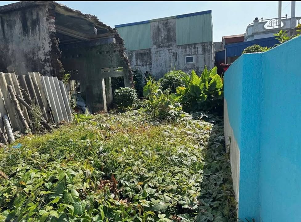 Đất nền Quán Toan 72m² giá 1.3 tỷ - Gần chợ, tiện ích đầy đủ!