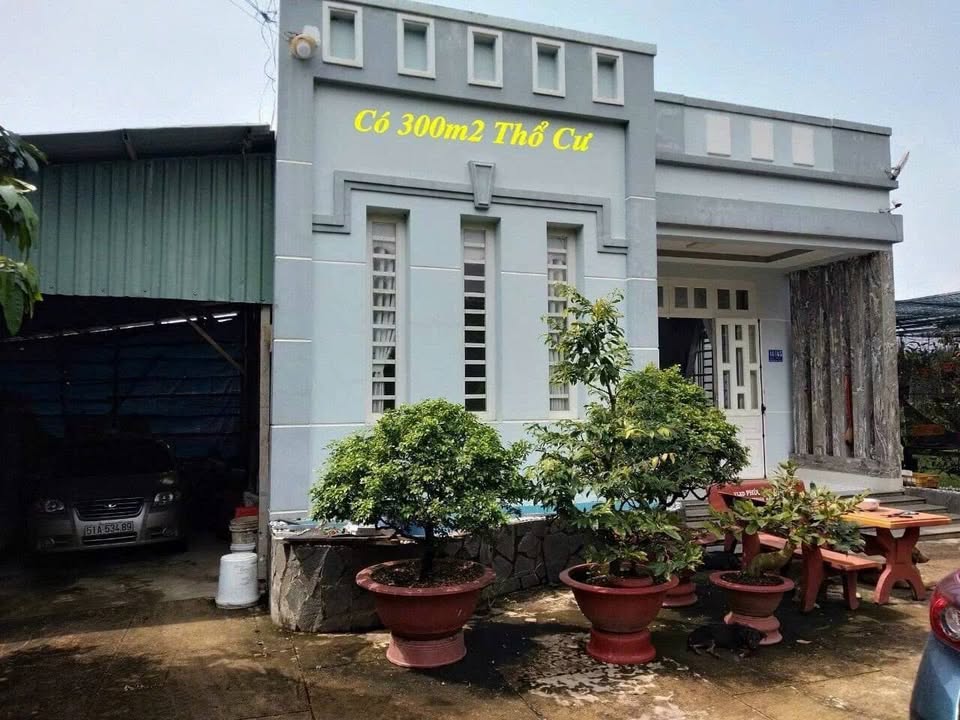 Nhà vườn đẹp tại Thái Mỹ, Củ Chi 2300m² - Giá tốt, chính chủ cần bán gấp!