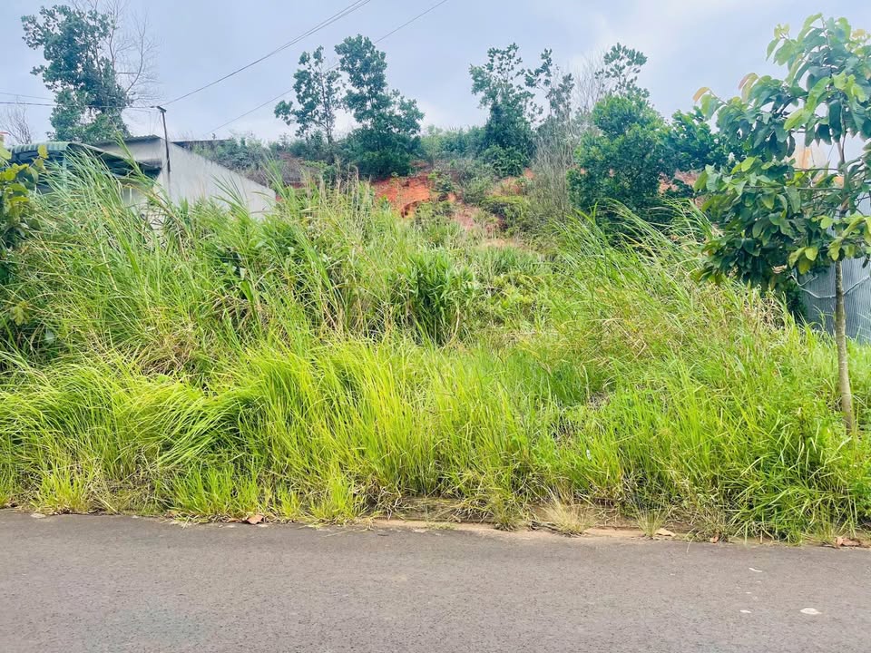 Đất thổ cư Đắk Nia 238m² giá 2.39 tỷ - Sổ đỏ chính chủ, gần chợ