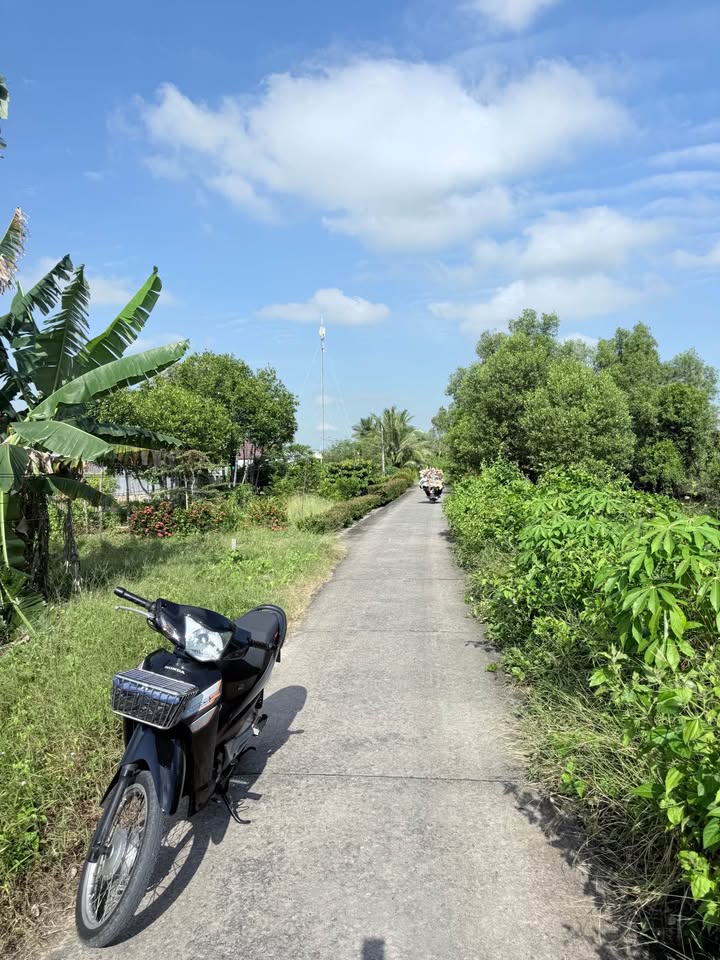 Đất nền Lý Văn Lâm Cà Mau 250m² giá 500 triệu - Sổ đỏ chính chủ, ô tô vào tận nơi!