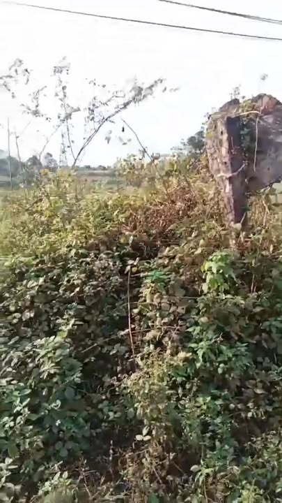 Đất nền tại xã Ia Le, Chư Pưh, Gia Lai 2880m² - Giá chỉ 2.7 tỷ VND thương lượng!