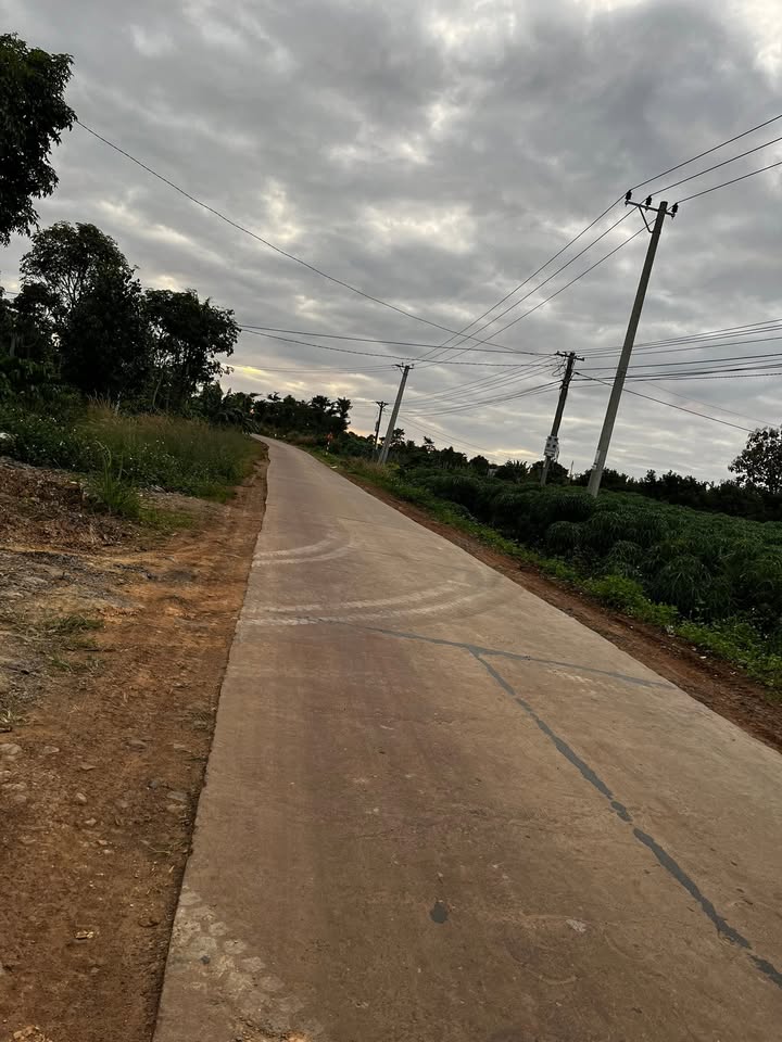 Đất thổ cư Đắk Wil, Lâm Đồng 720m² giá 3.3 tỷ - Sổ hồng chính chủ!