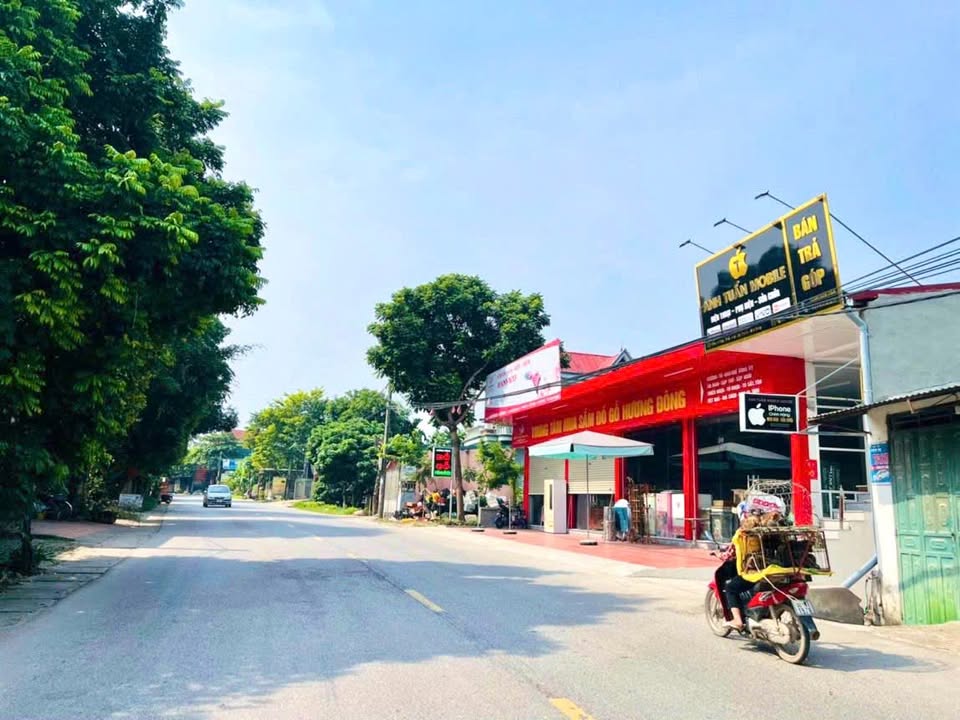 Đất nền Thái Hòa, Lập Thạch 113m² giá 2 tỷ - Kinh doanh sầm uất!