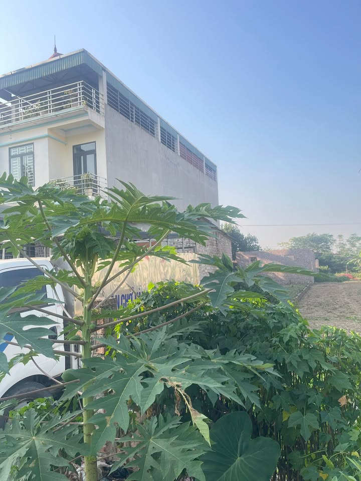 Lô đất 320,5m² giá 4 tỷ tại KĐT Xuân Hòa - Cơ hội đầu tư hấp dẫn!